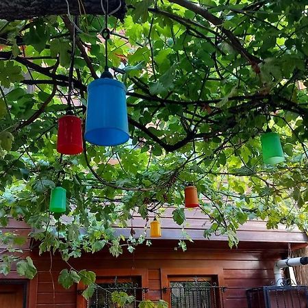 הוילה איסטמבול Beautiful House In The Centre מראה חיצוני תמונה