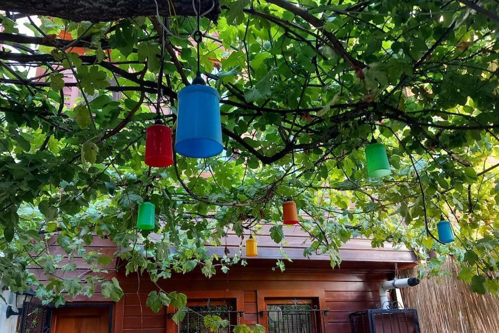 הוילה איסטמבול Beautiful House In The Centre מראה חיצוני תמונה